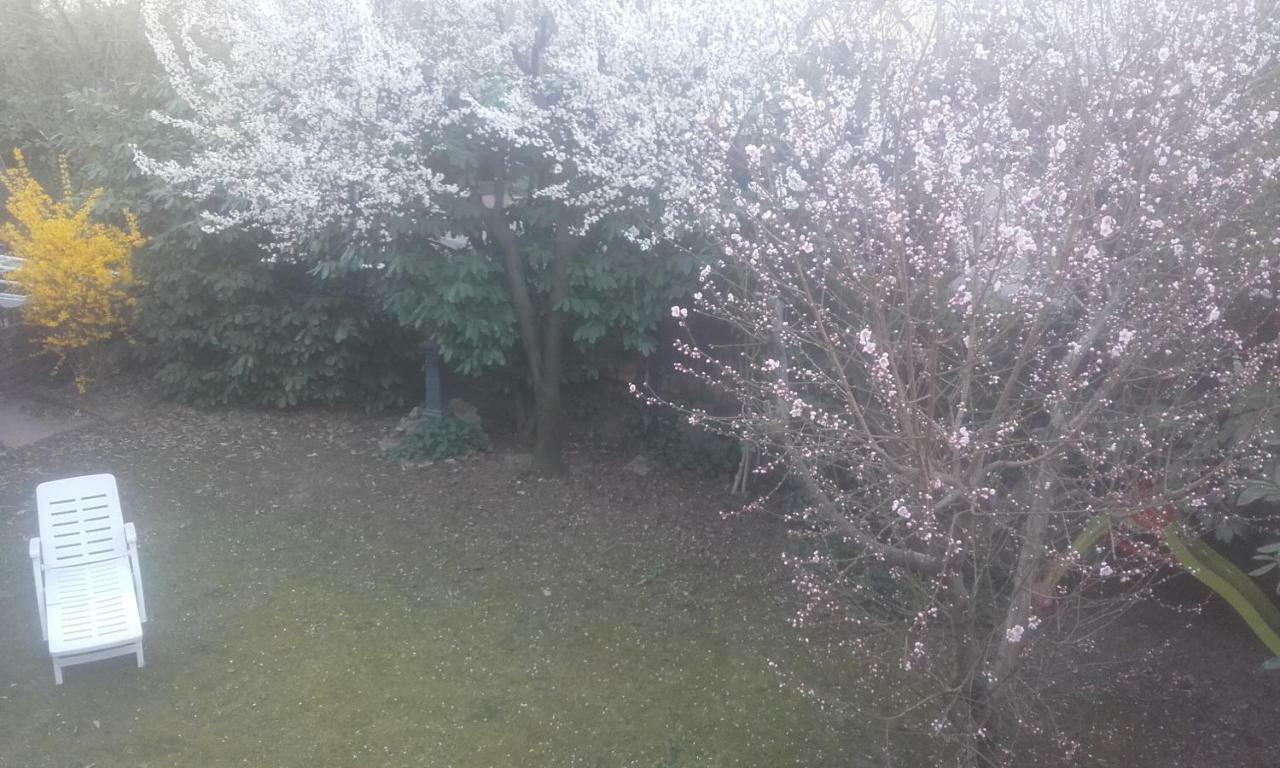 Appartamento Giardino Verde Μόντενα Εξωτερικό φωτογραφία